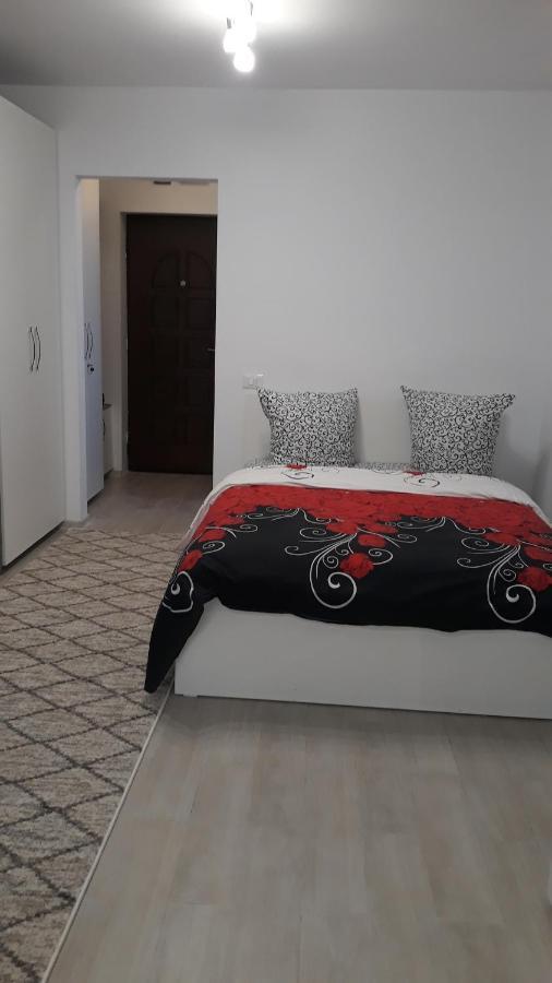 Irvin Apartament Iasi Exterior photo