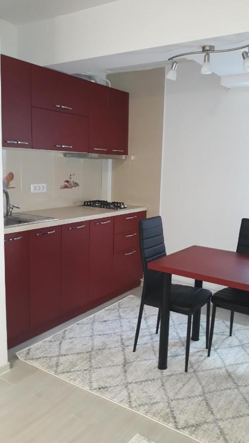 Irvin Apartament Iasi Exterior photo